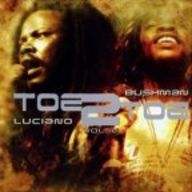 Bushman - Toe 2 Toe Bushman - Toe 2 Toe album cover