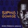 Sipho Gumede - Down Freedom Avenue Sipho Gumede - Down Freedom Avenue album cover