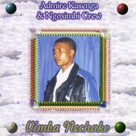 Admire Kasenga - Vimba Nechako album cover