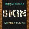 Biggie Tembo - Startled Insects album cover