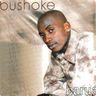 Bushoke - Barua album cover