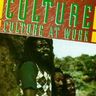 Culture - Culture at Work album cover