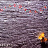 Dissonance - Konsonans... album cover