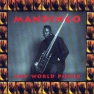 Mandingo - New World Power album cover