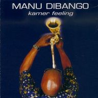 Manu Dibango - Kamer Feeling album cover