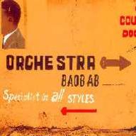 Orchestre Baobab - Specialist in all Styles album cover