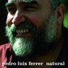 Pedro Luis Ferrer - Natural album cover
