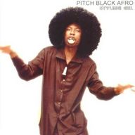 Pitch Black Afro - Styling gel album cover