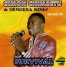 Simon Chimbetu - Survival album cover