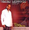 Tibebu Workyie - Alamarrm album cover