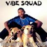 Vibe Squad - Beware of the dogs album cover