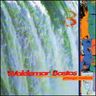 Waldemar Bastos - Pitanga Madura album cover