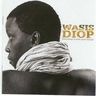 Wasis Diop - Everything is never quite enough album cover