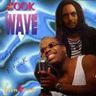 Zook Wave - Fantasy album cover
