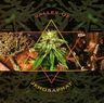 Augustus Pablo - Valley of Jehosaphat Augustus Pablo - Valley of Jehosaphat album cover