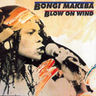 Blow on Wind