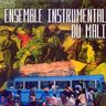 Ensemble Instrumental du Mali - Ensemble Instrumental du Mali Ensemble Instrumental du Mali - Ensemble Instrumental du Mali album cover