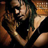 Habib Koité - Afriki Habib Koité - Afriki album cover