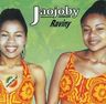 Raviny