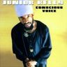 Junior Kelly - Conscious Voice Junior Kelly - Conscious Voice album cover