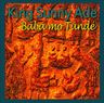 King Sunny Adé - Bábá Mo Túndé King Sunny Adé - Bábá Mo Túndé album cover