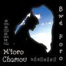 M'toro Chamou - Bwé Foro M'toro Chamou - Bwé Foro album cover