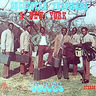 Orchestre Tropicana - Succes Orchestre Tropicana - Succes album cover