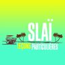 Slaï - Leçons particulières Slaï - Leçons particulières album cover