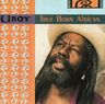 U Roy - True Born African U Roy - True Born African album cover