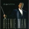 Beenie Man - Maestro Beenie Man - Maestro album cover