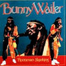 Bunny Wailer - Rootsman Skanking Bunny Wailer - Rootsman Skanking album cover