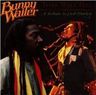 Bunny Wailer - Time Will Tell Bunny Wailer - Time Will Tell album cover