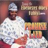 Chief Ebenezer Obey - Promise land Chief Ebenezer Obey - Promise land album cover