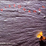 Dissonance - Konsonans... Dissonance - Konsonans... album cover