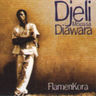 Djeli Moussa Diawara - Flamenkora Djeli Moussa Diawara - Flamenkora album cover