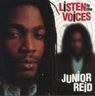 Junior Reid - Listen To The Voices Junior Reid - Listen To The Voices album cover
