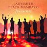 Ladysmith Black Mambazo - Favourites Ladysmith Black Mambazo - Favourites album cover
