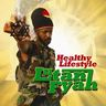 Lutan Fyah - Healthy Lifestyle Lutan Fyah - Healthy Lifestyle album cover