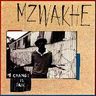 Mzwakhe Mbuli - Change Is Pain Mzwakhe Mbuli - Change Is Pain album cover