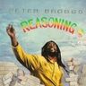 Peter Broggs - Reasoning Peter Broggs - Reasoning album cover