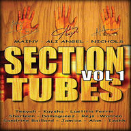 Section Tubes - Section Tubes Vol.1 Section Tubes - Section Tubes Vol.1 album cover