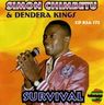 Simon Chimbetu - Survival Simon Chimbetu - Survival album cover