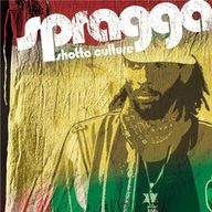 Spragga Benz - Shotta Culture Spragga Benz - Shotta Culture album cover