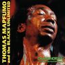 Thomas Mapfumo - Chamunorwa Thomas Mapfumo - Chamunorwa album cover