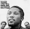 Toots and the Maytals - In The Dark Toots and the Maytals - In The Dark album cover