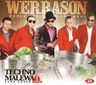 Werra Son - Techno Malewa Sans Cesse Werra Son - Techno Malewa Sans Cesse album cover