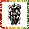 Ziggy Marley - Joy And Blues Ziggy Marley - Joy And Blues album cover