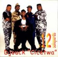 12 Salopards - Djouck Cicetwa album cover