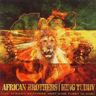 African Brothers - African Brothers Meet King Tubby In Dub album cover