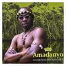 Amadanyo - Voices from the Mangrove album cover
